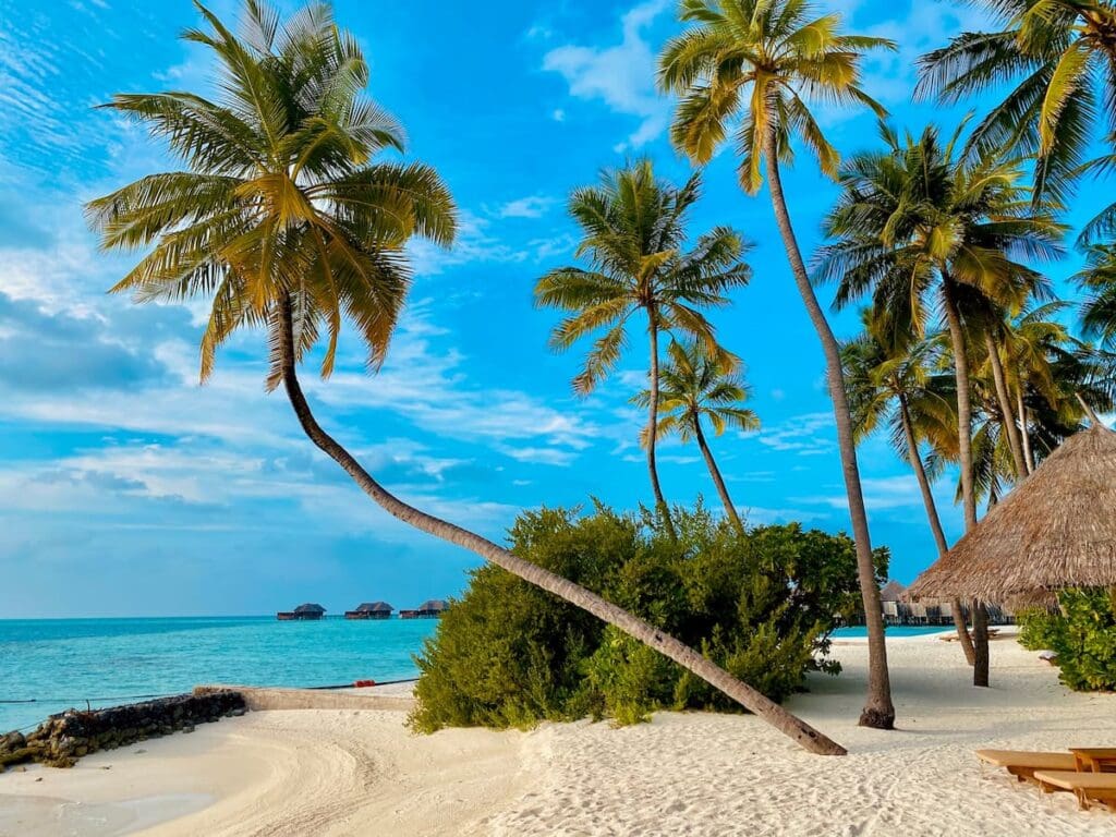 Praia paradisíaca para feriados em 2024